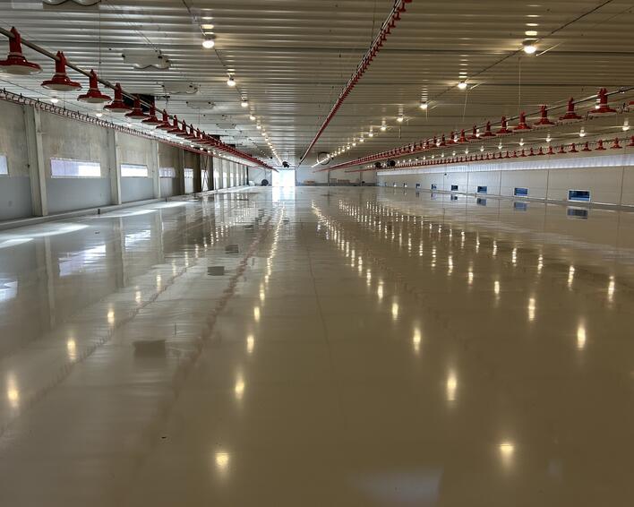 Lemmers Weert Kuikenstal